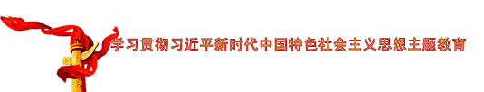 学习贯彻习近平新时代中国特色社会主义思想主题教育